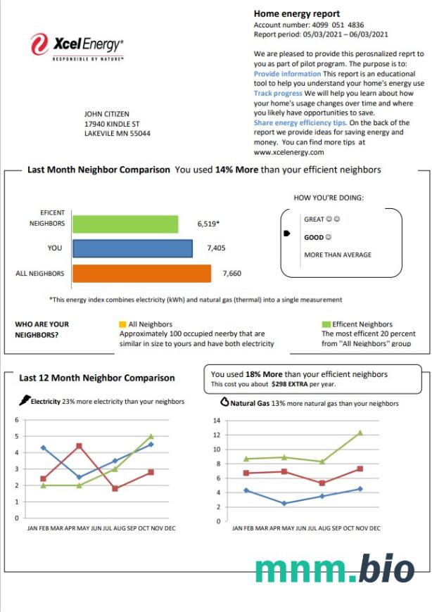 USA Minnesota Xcel Energy rachunek za media szablon w formacie Word i PDF
